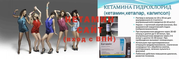 соль ск Дмитров