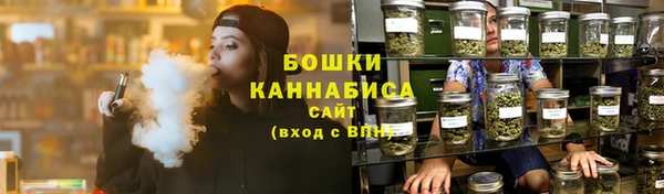 ПСИЛОЦИБИНОВЫЕ ГРИБЫ Дмитриев
