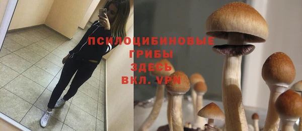 экстази Дмитровск