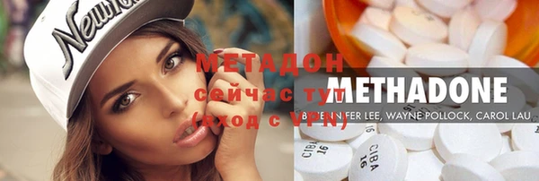 ПСИЛОЦИБИНОВЫЕ ГРИБЫ Дмитриев