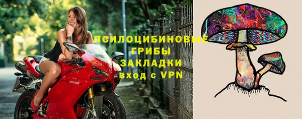 соль ск Дмитров