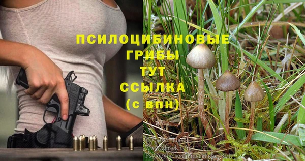 соль ск Дмитров