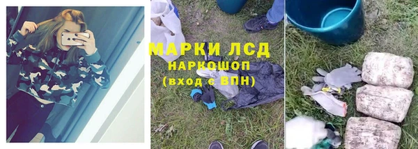 ПСИЛОЦИБИНОВЫЕ ГРИБЫ Дмитриев