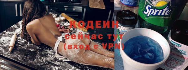 соль ск Дмитров