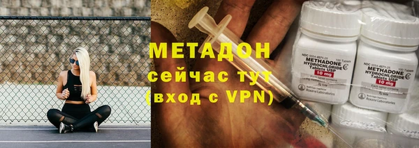 ПСИЛОЦИБИНОВЫЕ ГРИБЫ Дмитриев