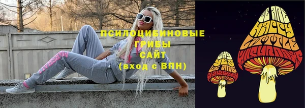 соль ск Дмитров