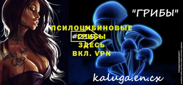 соль ск Дмитров