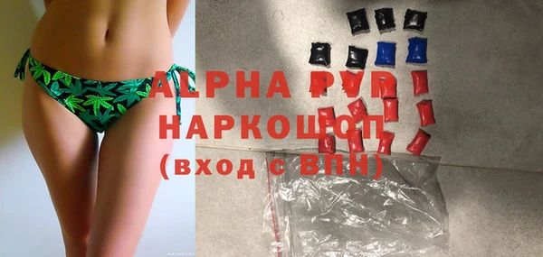 ПСИЛОЦИБИНОВЫЕ ГРИБЫ Дмитриев