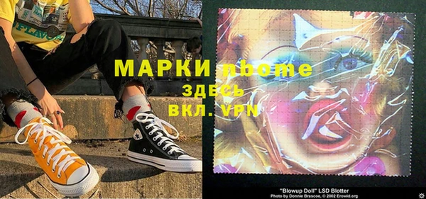ПСИЛОЦИБИНОВЫЕ ГРИБЫ Дмитриев