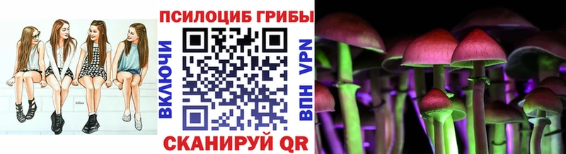 маркетплейс Telegram  Невель  Галлюциногенные грибы Psilocybine cubensis 